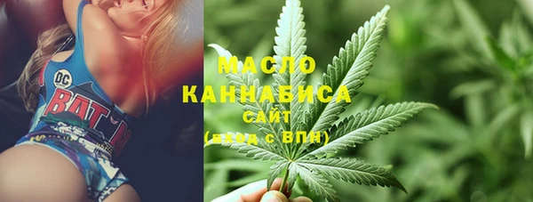 СК Алексин