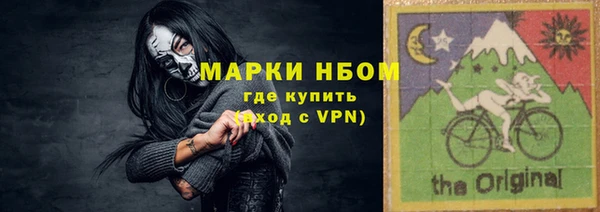 СК Алексин