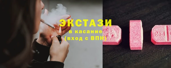 СК Алексин