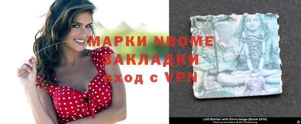 СК Алексин
